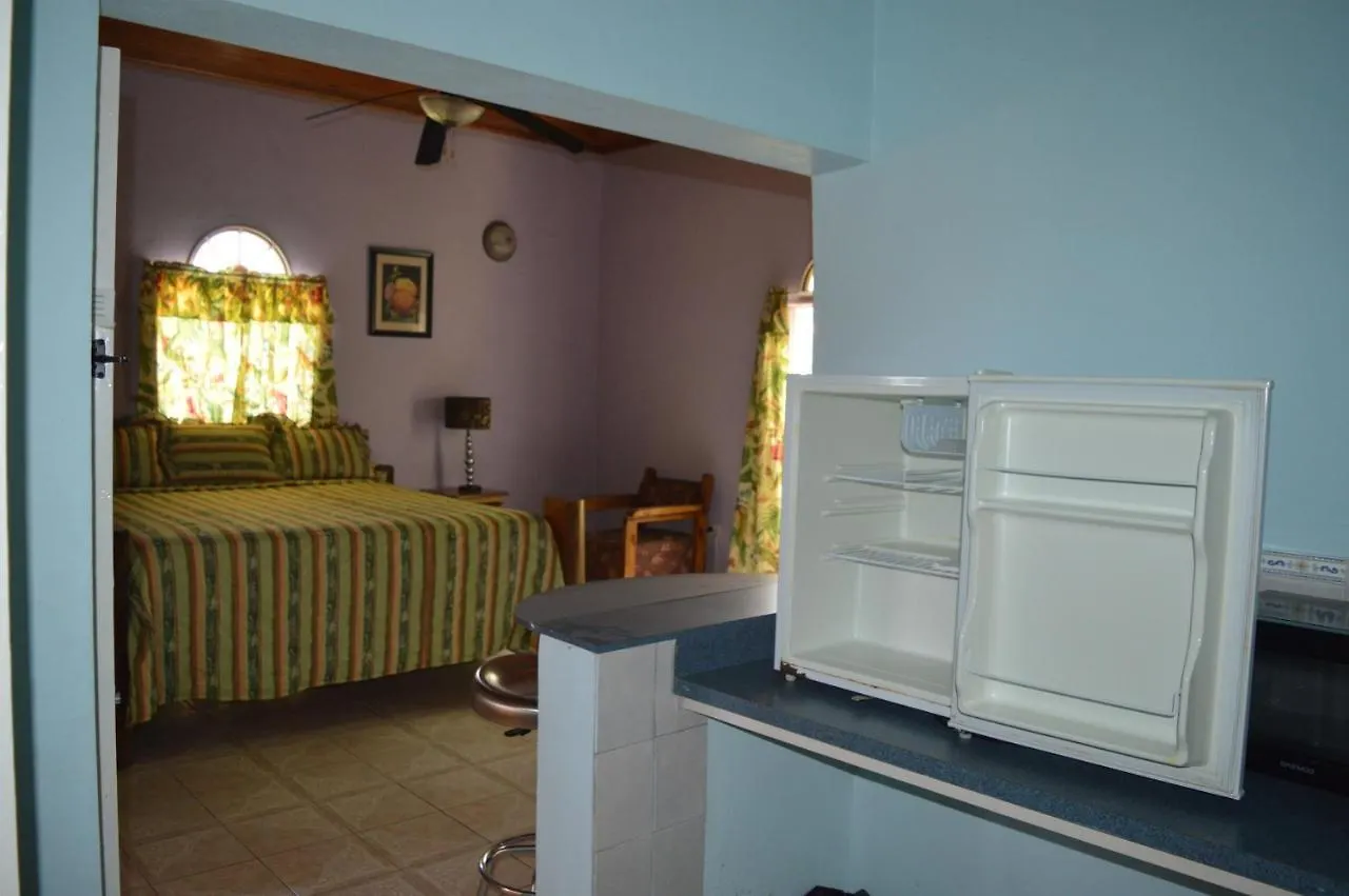 Casa De Shalom Hotel Ocho Rios