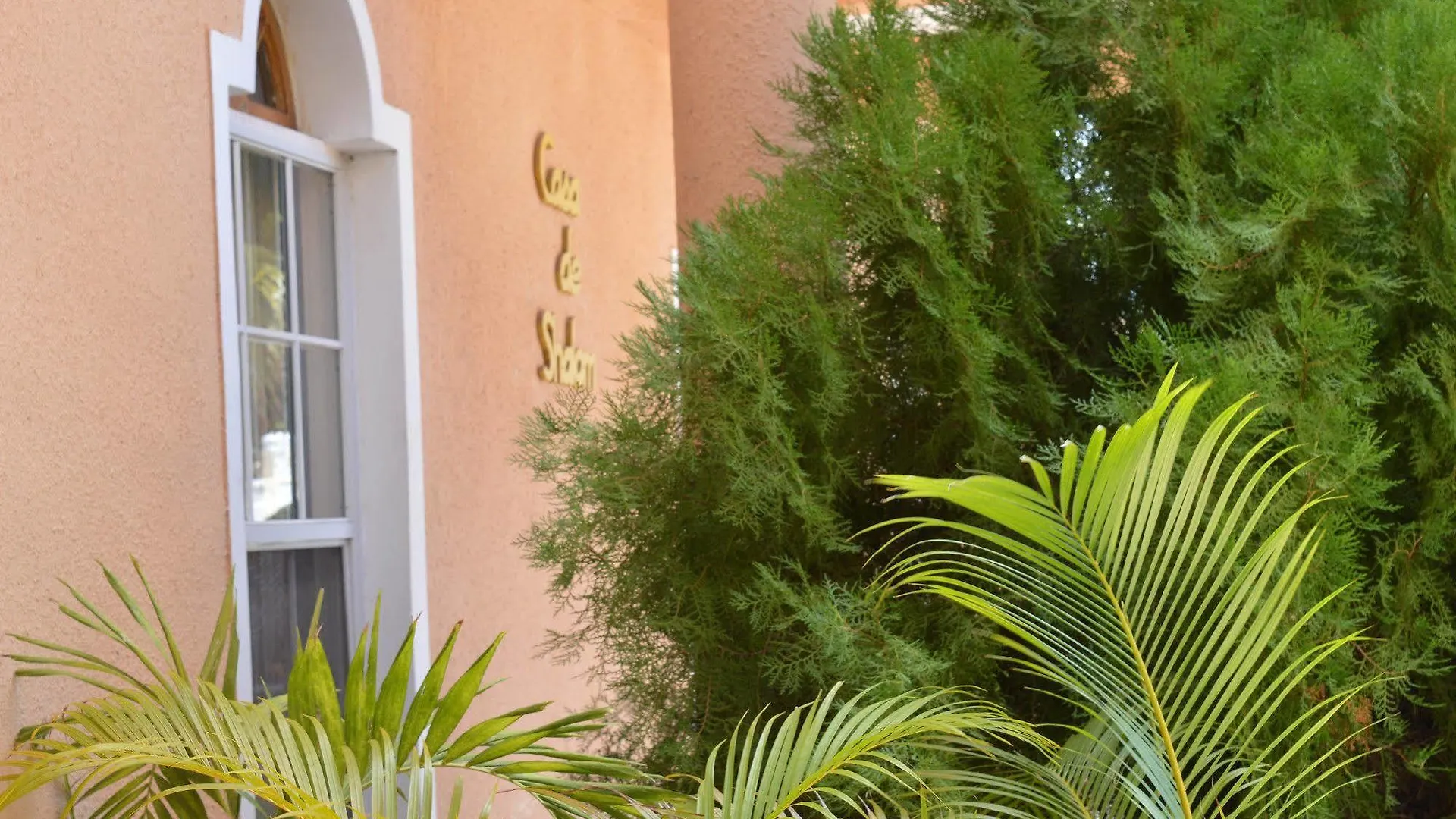 Casa De Shalom Hotel Ocho Rios